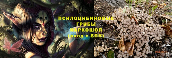 ешки Арсеньев