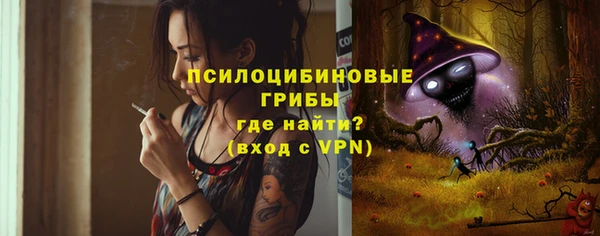 ешки Арсеньев