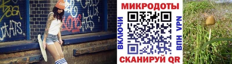 Галлюциногенные грибы прущие грибы продажа наркотиков Зима